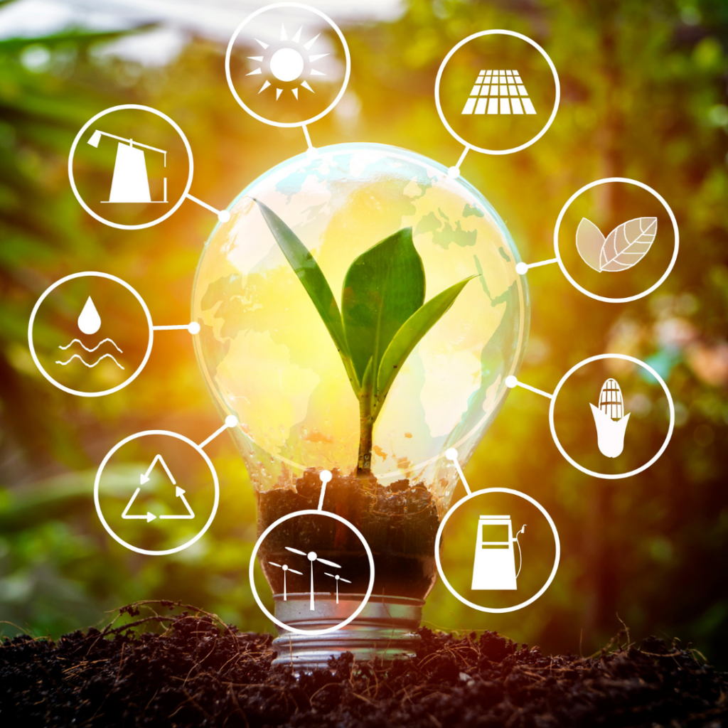 Blog #36 Effizientes Energiemanagement: Die Energiequelle für Unternehmen